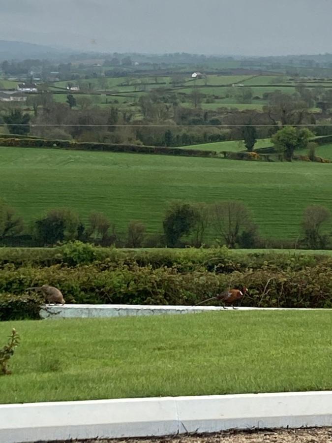 The View At 37 B&B Banbridge Exterior photo
