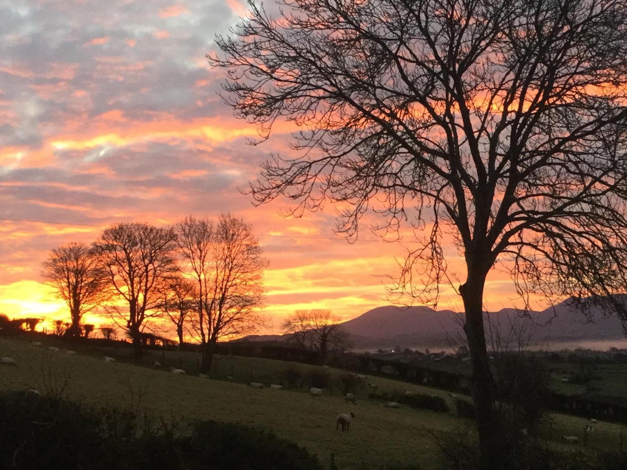 The View At 37 B&B Banbridge Exterior photo